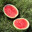 Melon Man