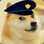 Police Doge