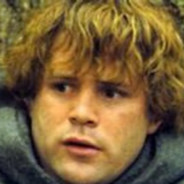 NotSoSamwise
