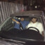 Efe