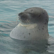 欸嘿嘿，恁不要滴图腾俺能拆了带走不