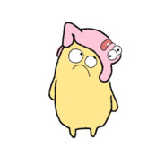 货货的拉货人生