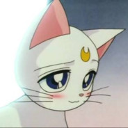 超越时空的猫
