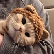 很内向，放屁都不敢小声