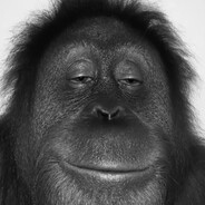 bogeyman - steam id 76561199817065571