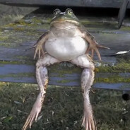 Frogi