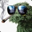 WeedMonster