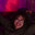 WILCUR2115