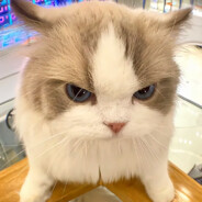 相同地點的照片 卻找不回另一半