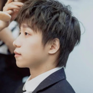 晚夜微雨问海棠