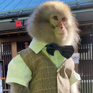 efan