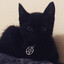 evil cat boy's avatar