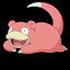 Slow_poke