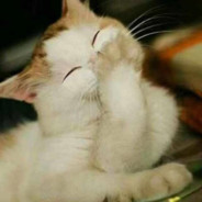 如果时光逆流成河