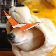 NOT THE BEST DOGO ON AWP