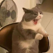 心中无女人 开枪自然神