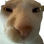dxbue