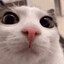 sdhgfhgdg