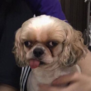 成为女人得玩物