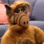 alf