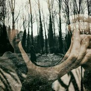 奥尔夫·托斯基