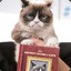 AngryCat