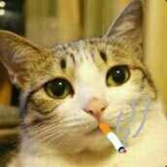 你天天100倍杠杆你不爆仓谁爆仓？