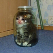 it's me jeongdo 입니다