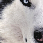 GAX - steam id 76561198010680550