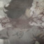 街头霸王