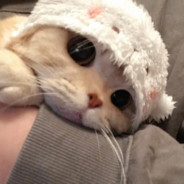 你看上去很美味