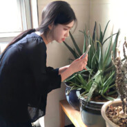 +我家一天需要一万高金