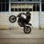 Ducatisti36