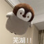 看不见我看不见我