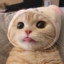 lumlum机灵鬼