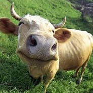 FARMEREN