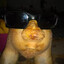 Boga de Galinha