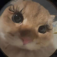 𝓙𝓾𝓵𝓲𝓪