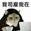 今晚能给我嘛