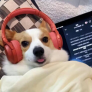 超级炸肉大王66