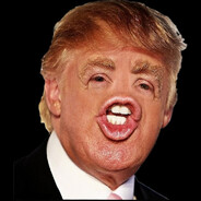 Donald Dumb