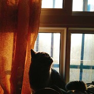 晚星就像你的眼睛.