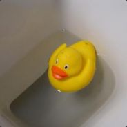 Riebi - steam id 76561197965558028