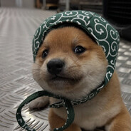Shiba Jai