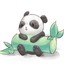 Eveah Panda♥