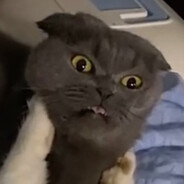 五香麻辣不要鸡