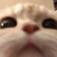 minmin