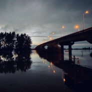 我是弟弟别打我