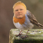 Birdy 3 avatar