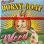 Horny Goat Weed